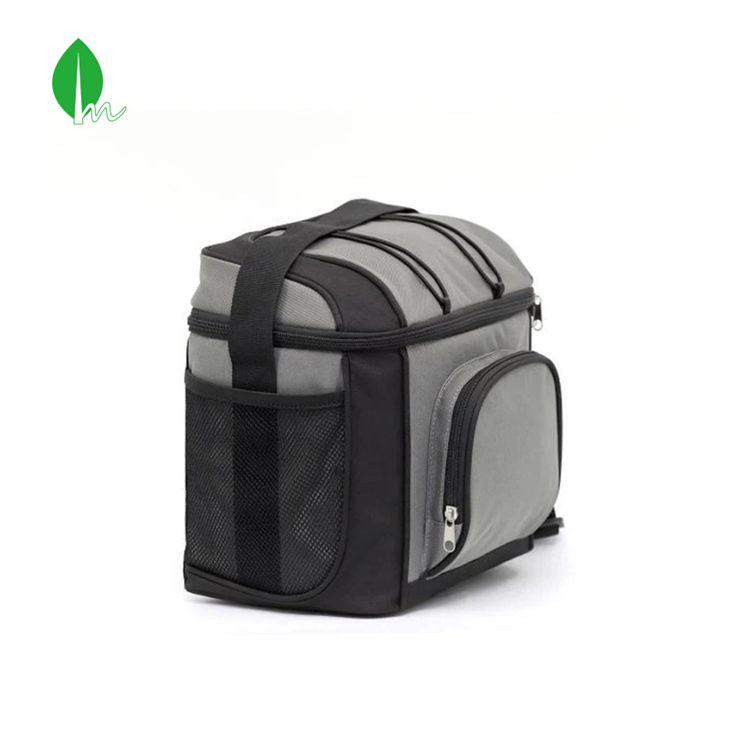 پٹا کے ساتھ لنچ بیگ