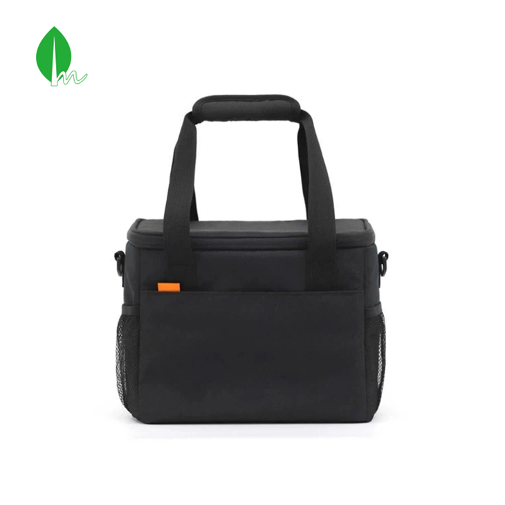 چھوٹا لنچ بیگ